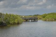 Everglades NP. Florida.