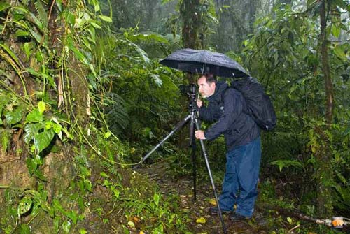 Photographing in the rain at Carara.